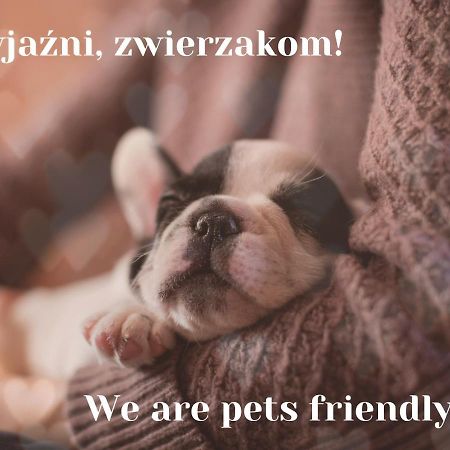 Willa Jordanowka Czorsztyn Buitenkant foto